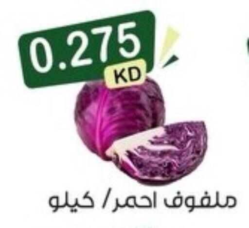 available at Mubarak Al-Kabeer & Al-Qurain Co-Operative Society in Kuwait - Kuwait City