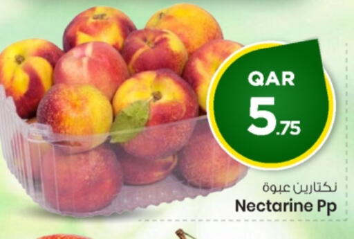 Nectarine available at مارك & سيف in قطر - الشحانية