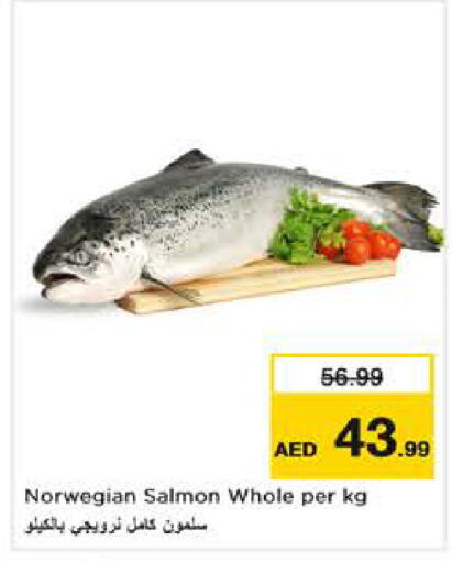 available at نستو هايبرماركت in الإمارات العربية المتحدة , الامارات - أبو ظبي