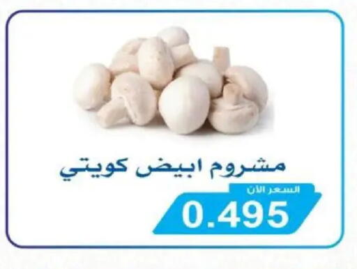 available at جمعية سلوى التعاونية in الكويت - محافظة الأحمدي