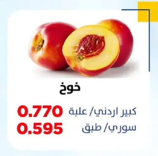 available at جمعية ضاحية صباح السالم التعاونية in الكويت - محافظة الأحمدي