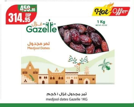 available at جيان مصر in Egypt - القاهرة