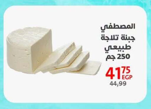 available at Arab DownTown in Egypt - Cairo