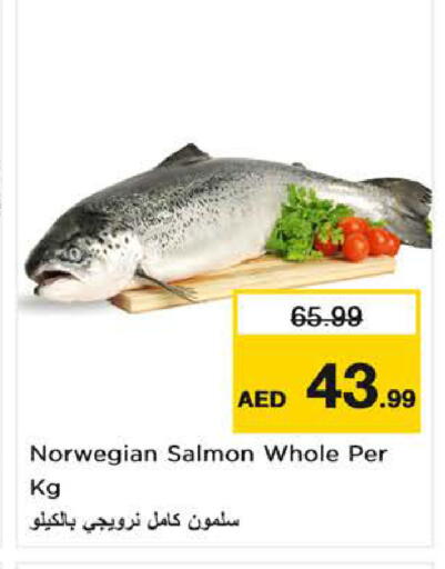 available at نستو هايبرماركت in الإمارات العربية المتحدة , الامارات - الشارقة / عجمان
