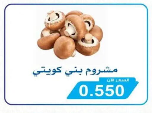 available at جمعية سلوى التعاونية in الكويت - محافظة الأحمدي