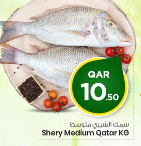 available at مارك & سيف in قطر - الشحانية