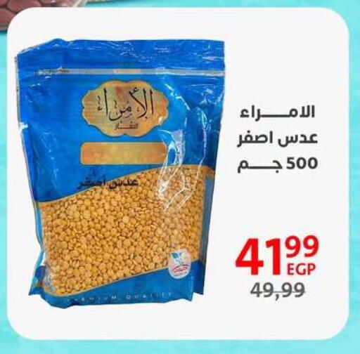 available at Arab DownTown in Egypt - Cairo