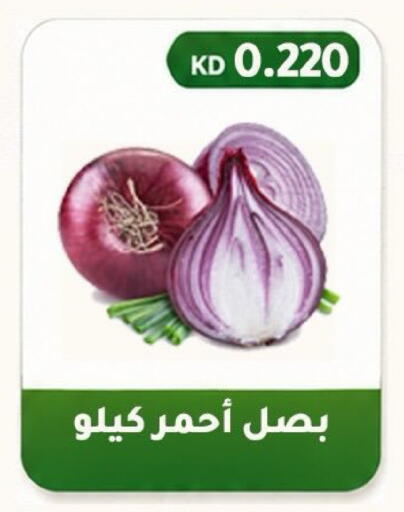 available at Al Fahaheel Co - Op Society in Kuwait - Ahmadi Governorate