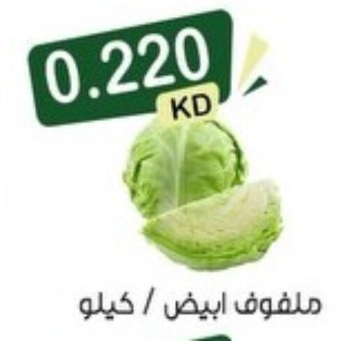 available at Mubarak Al-Kabeer & Al-Qurain Co-Operative Society in Kuwait - Kuwait City