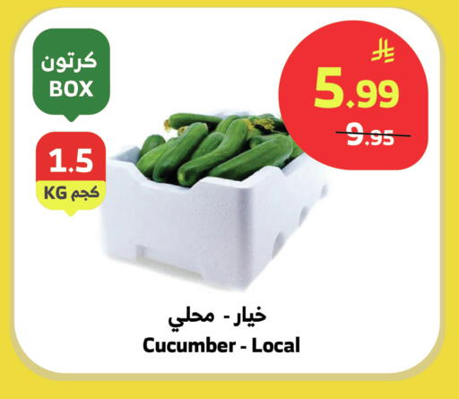 Cucumber available at Al Raya in KSA, Saudi Arabia, Saudi - Bishah