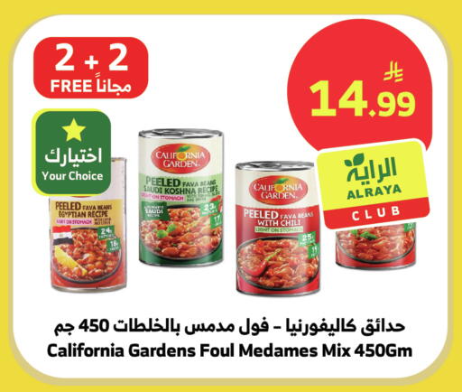 available at Al Raya in KSA, Saudi Arabia, Saudi - Bishah