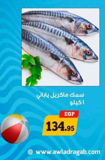 available at أولاد رجب in Egypt - القاهرة