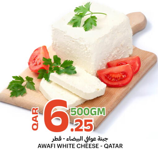 available at البلدي اليوم in قطر - الشحانية