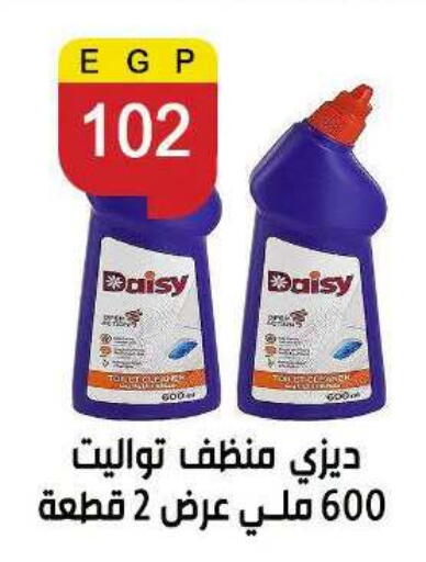available at Ben Seleman in Egypt - Cairo