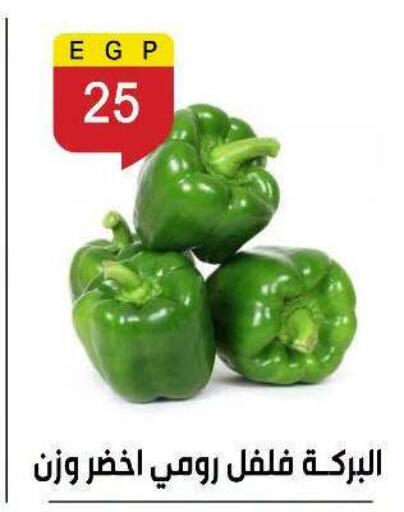 available at Ben Seleman in Egypt - Cairo