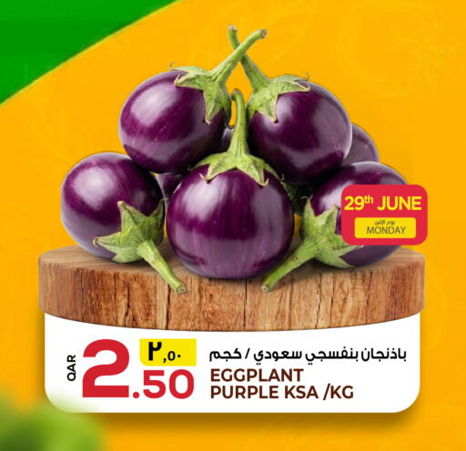 Eggplant available at السعودية in قطر - الشحانية