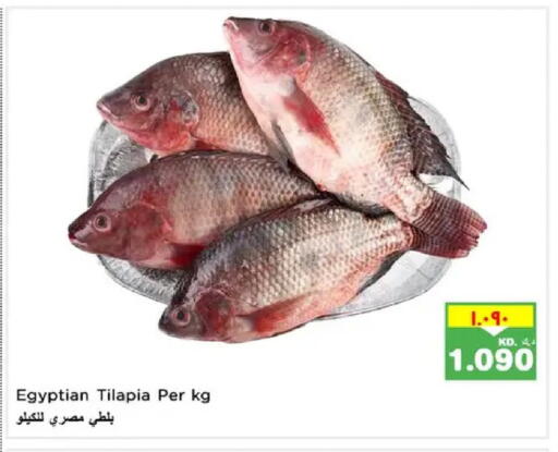 available at Nesto Hypermarkets in Kuwait - Ahmadi Governorate