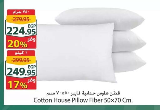 available at Spinneys  in Egypt - Cairo