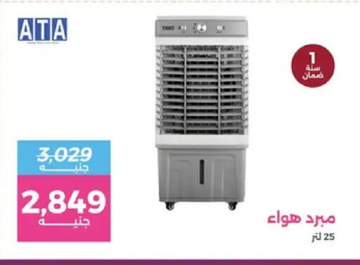 available at Raneen in Egypt - Cairo