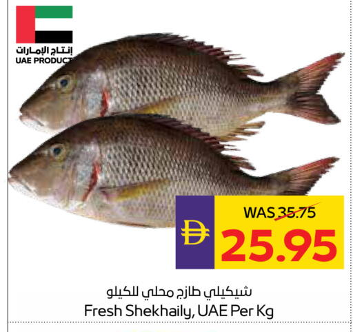 available at أدكووب in الإمارات العربية المتحدة , الامارات - ٱلْعَيْن‎