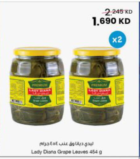 available at مركز سلطان in الكويت - محافظة الجهراء