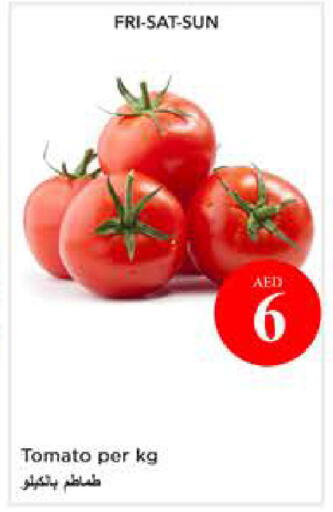 Tomato available at نستو هايبرماركت in الإمارات العربية المتحدة , الامارات - أبو ظبي