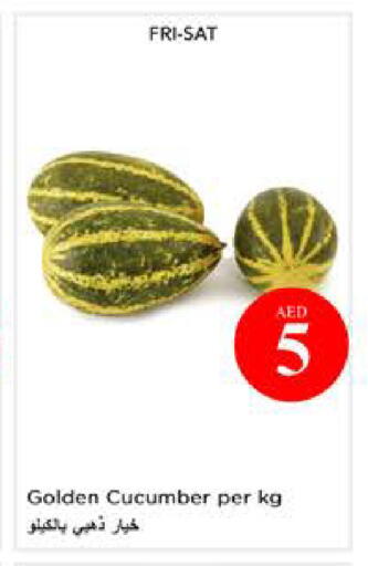 Cucumber available at نستو هايبرماركت in الإمارات العربية المتحدة , الامارات - أبو ظبي