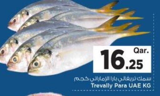 available at مارك & سيف in قطر - الريان