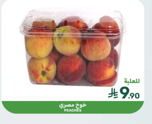 available at  مـزايــا in مملكة العربية السعودية, السعودية, سعودية - المنطقة الشرقية