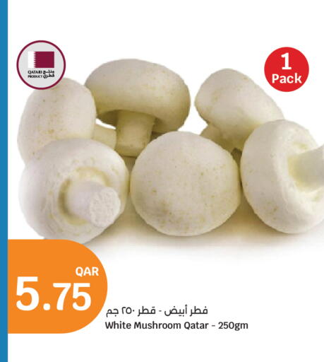 Mushroom from Qatar available at سيتي هايبرماركت in قطر - الشمال
