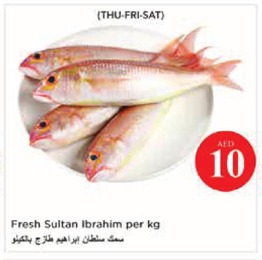 available at نستو هايبرماركت in الإمارات العربية المتحدة , الامارات - أبو ظبي