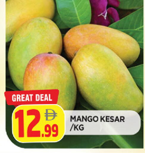 Mango available at المدينة in الإمارات العربية المتحدة , الامارات - الشارقة / عجمان