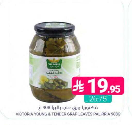 available at اسواق المنتزه in مملكة العربية السعودية, السعودية, سعودية - المنطقة الشرقية