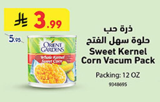 available at بن داود in مملكة العربية السعودية, السعودية, سعودية - المدينة المنورة