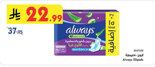 available at بن داود in مملكة العربية السعودية, السعودية, سعودية - المدينة المنورة