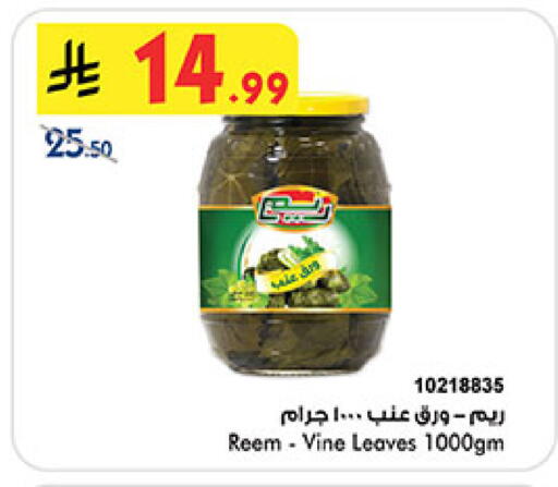 available at بن داود in مملكة العربية السعودية, السعودية, سعودية - المدينة المنورة