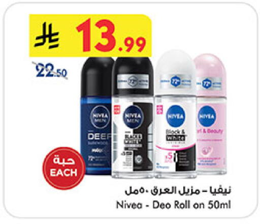 available at بن داود in مملكة العربية السعودية, السعودية, سعودية - المدينة المنورة