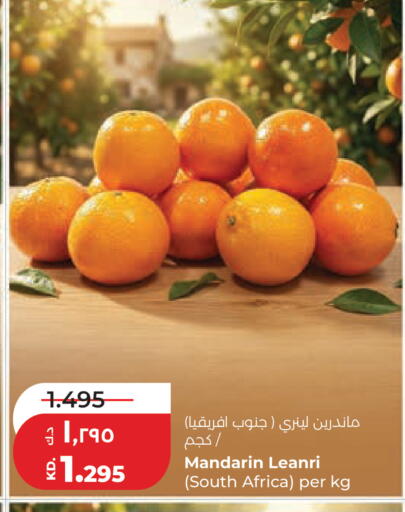 Mandarin from South Africa available at Lulu Hypermarket  in Kuwait - Jahra Governorate