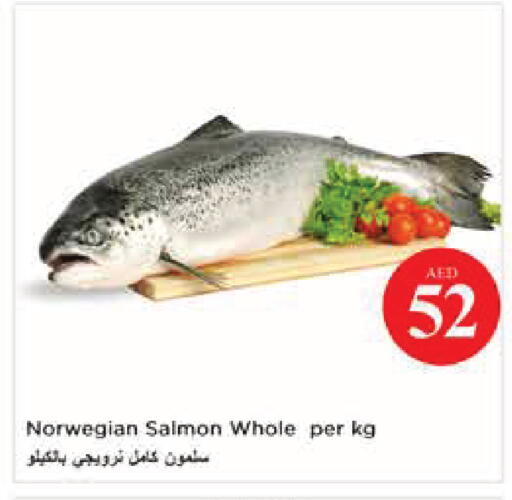available at نستو هايبرماركت in الإمارات العربية المتحدة , الامارات - أبو ظبي