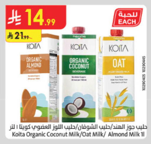 Coconut available at الدانوب in مملكة العربية السعودية, السعودية, سعودية - الطائف