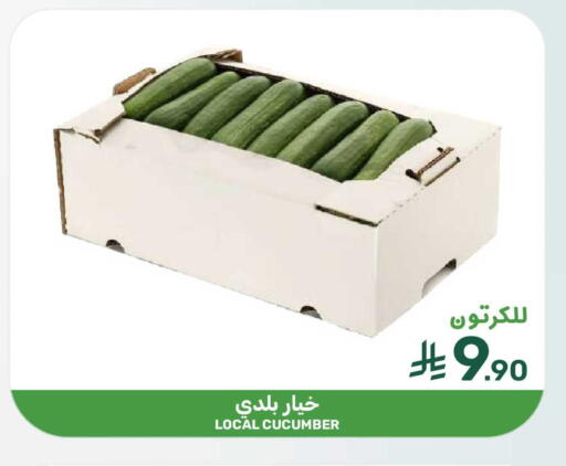 Cucumber available at  مـزايــا in مملكة العربية السعودية, السعودية, سعودية - المنطقة الشرقية