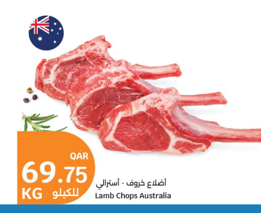 available at سيتي هايبرماركت in قطر - الشمال