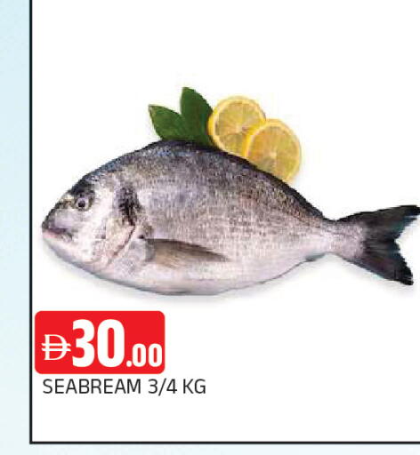 available at المدينة in الإمارات العربية المتحدة , الامارات - الشارقة / عجمان