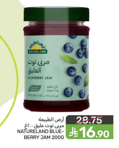 Blueberry BlueBerry available at  مـزايــا in مملكة العربية السعودية, السعودية, سعودية - المنطقة الشرقية