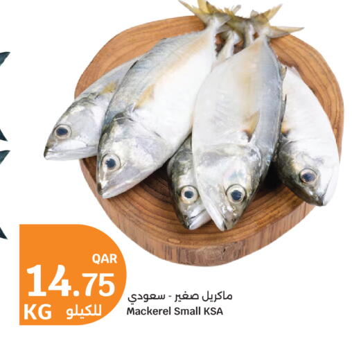 available at سيتي هايبرماركت in قطر - الشمال