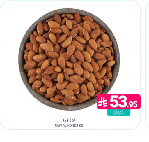 available at اسواق المنتزه in مملكة العربية السعودية, السعودية, سعودية - المنطقة الشرقية