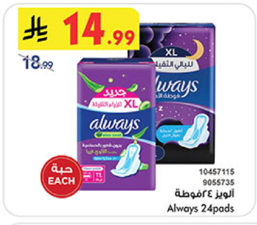 available at بن داود in مملكة العربية السعودية, السعودية, سعودية - المدينة المنورة