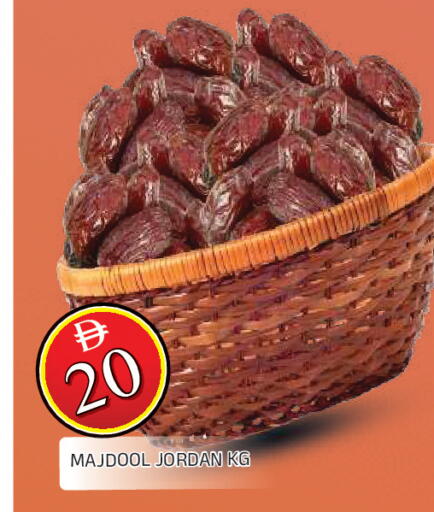 available at المدينة in الإمارات العربية المتحدة , الامارات - الشارقة / عجمان