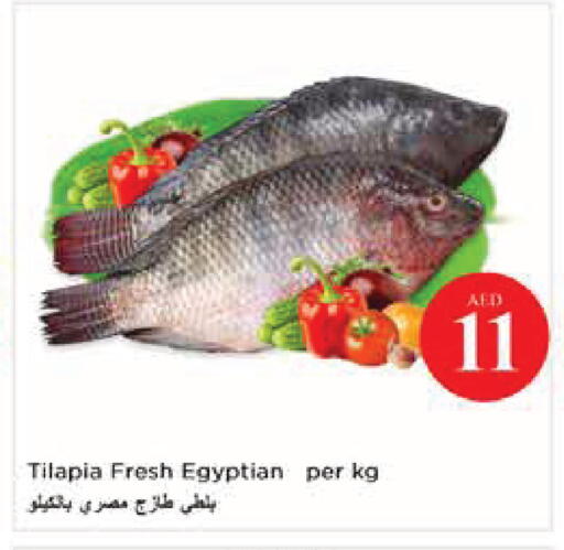 available at نستو هايبرماركت in الإمارات العربية المتحدة , الامارات - أبو ظبي