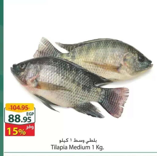 available at Spinneys  in Egypt - Cairo